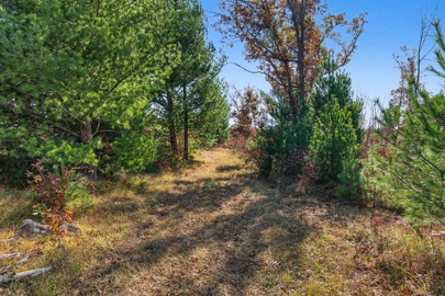 Listing 41