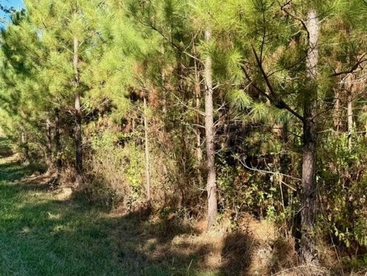 63 Acres Land For Sale Near Starkville MS