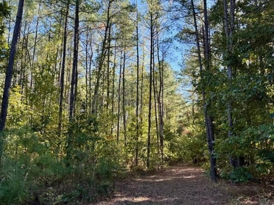 63 Acres Land For Sale Near Starkville MS