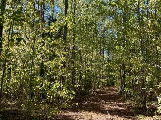 63 Acres Land For Sale Near Starkville MS