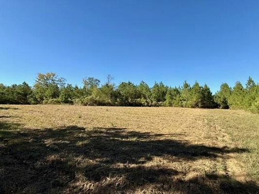 63 Acres Land For Sale Near Starkville MS