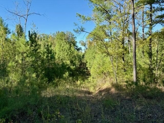 63 Acres Land For Sale Near Starkville MS