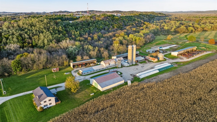 288± Acre Farm, Hunting & Black River Property | Melrose, Jackson
