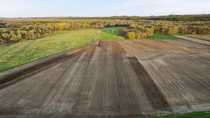 288± Acre Farm, Hunting & Black River Property | Melrose, Jackson