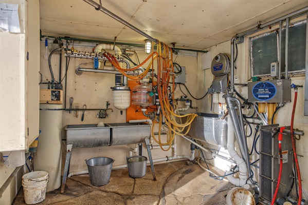 288± Acre Farm, Hunting & Black River Property | Melrose, Jackson