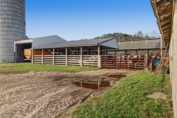 288± Acre Farm, Hunting & Black River Property | Melrose, Jackson