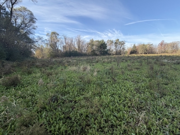 Listing 112