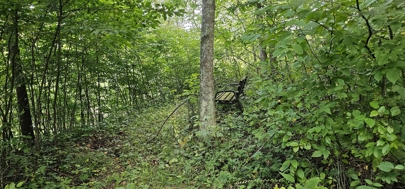 Listing 2