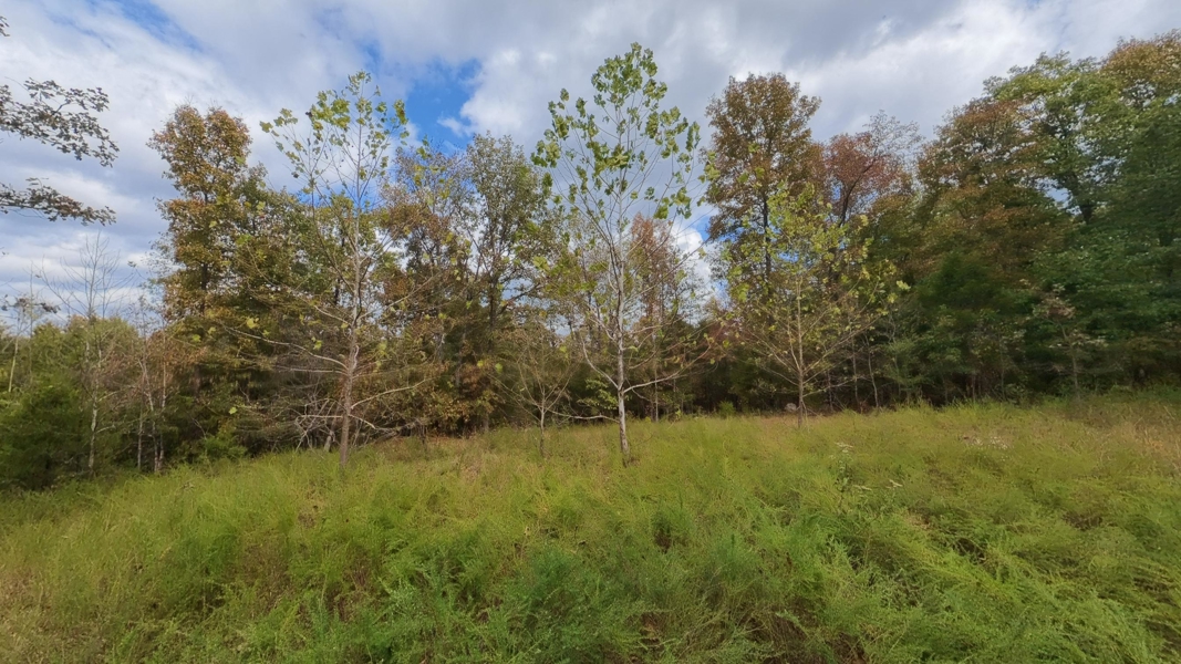 No Caption