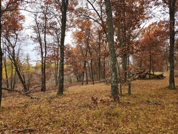 Listing 29
