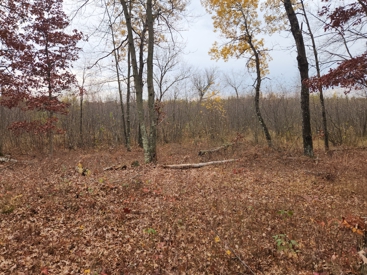Listing 29