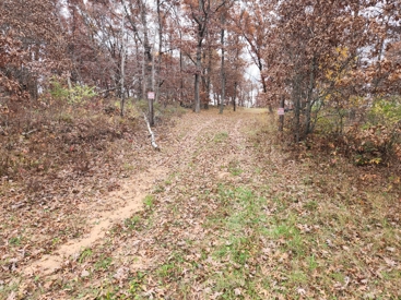 Listing 29