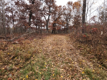 Listing 29