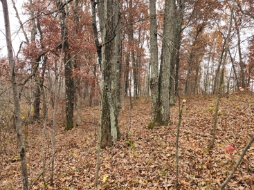 Listing 29