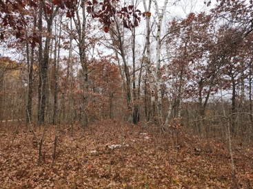 Listing 29