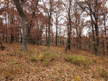 Listing 29