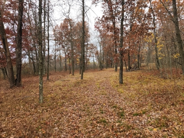 Listing 29