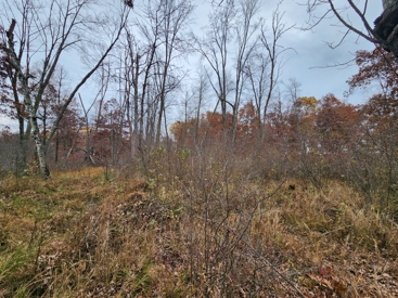 Listing 29