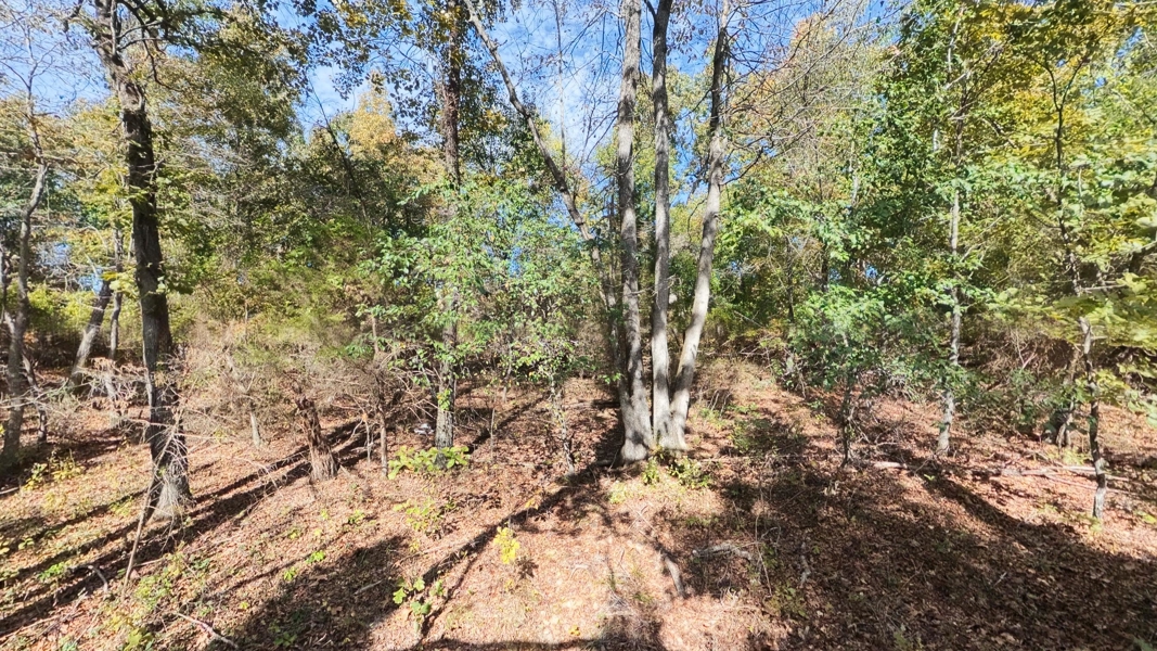No Caption