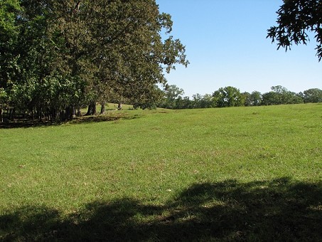 Pasture Land