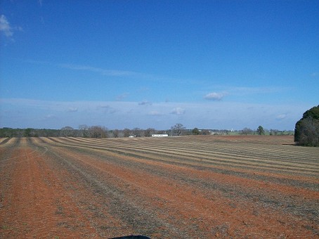 Farm Land