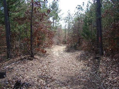 Woods Road Access On North End Of The Property.