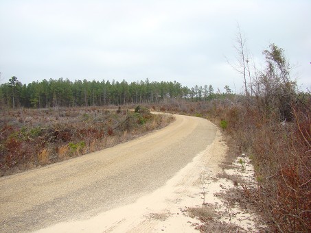 Access And Frontage On Ouachita Rd. #174.