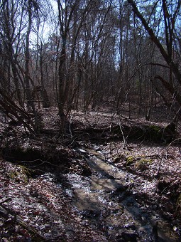 Small Drain / Creek On Property