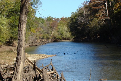 Frontage On Saline River!