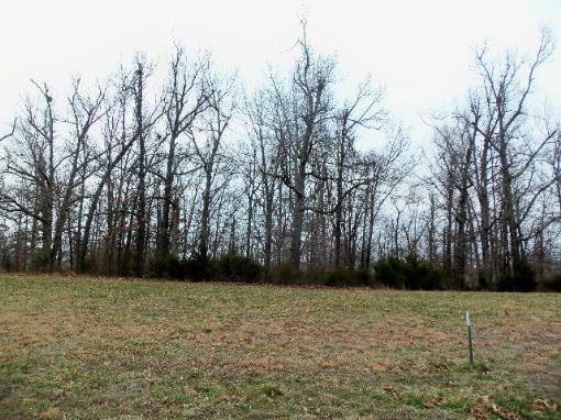 1.17 Acre Lot