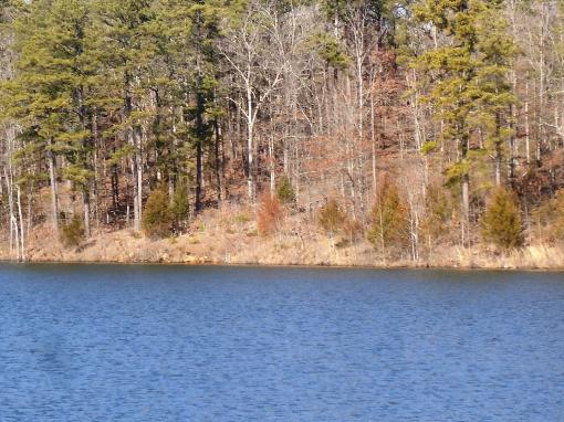Lake Side View Of Lot