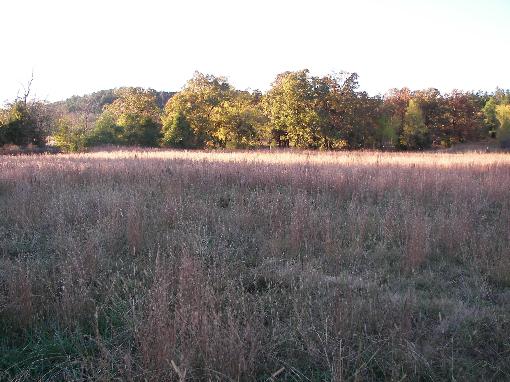 Open Land
