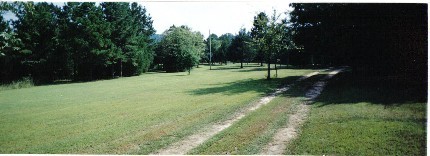 Acreage With Trees