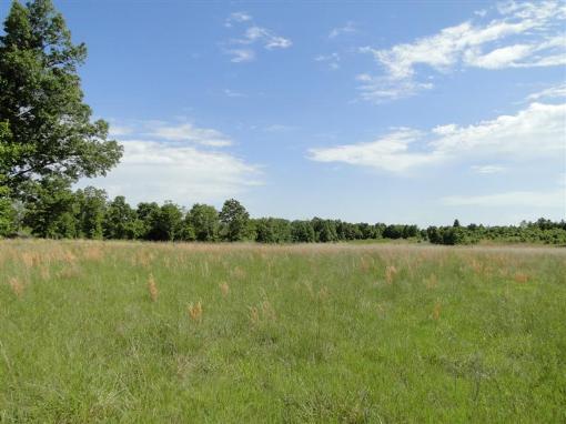 Land
