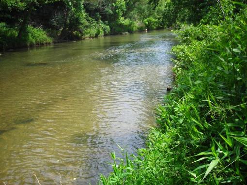Creek