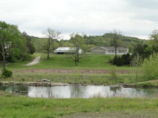 Pond