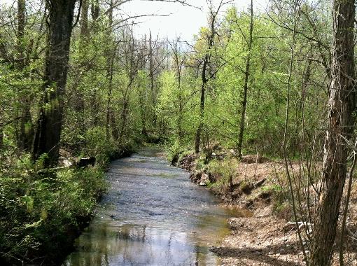 Large Creek