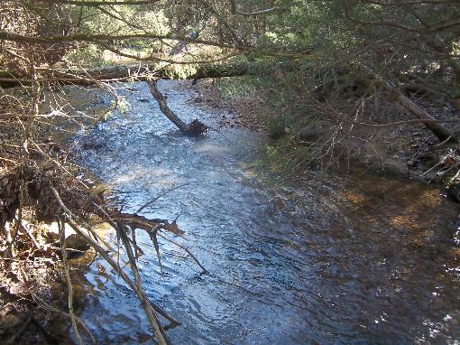 Creek