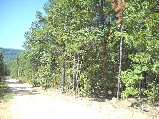 County Road View