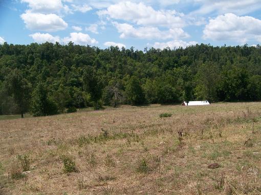 Pasture