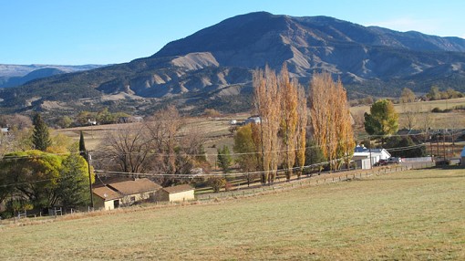 Horse Pasture On Paonia Hobby Farm