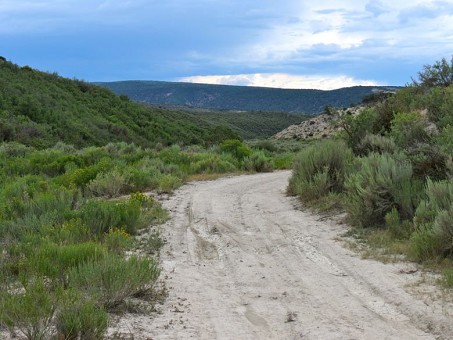 West View From The Road