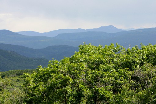 View Of Saddle Mountain To North