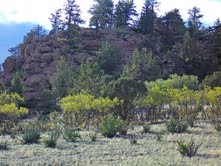Rock Formations On The Lot
