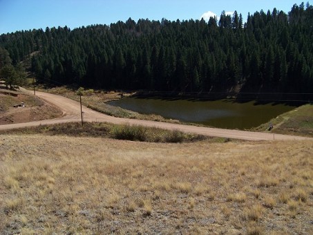 Standing On The Lot Looking At Beaver Lake #6