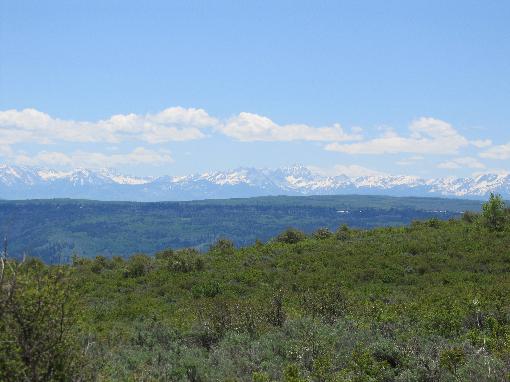 Land