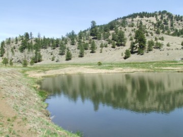 Mountain Pond