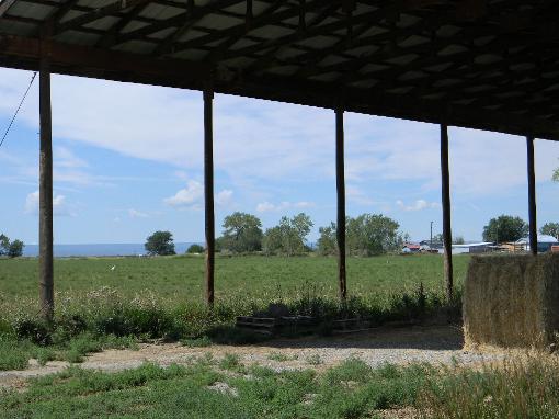25 Acre Hay Farm