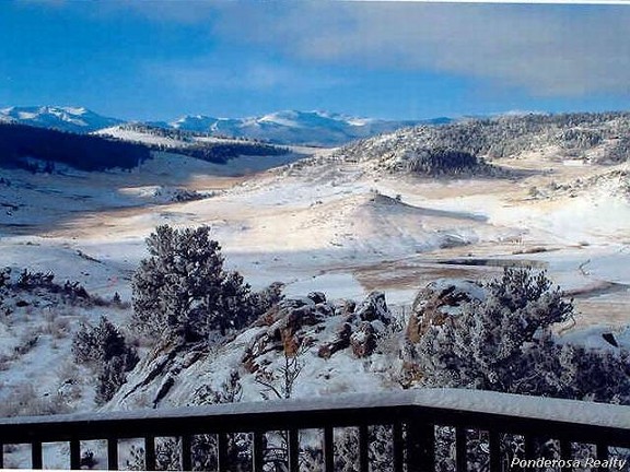 Winter View
