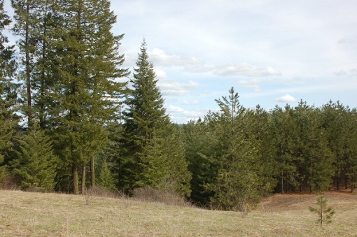 Large Tract Overlooking Deary